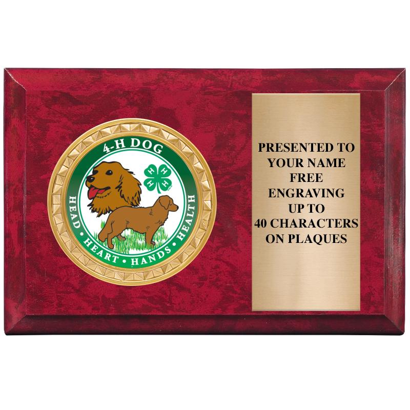 6" X 4" RED MBL INSERT PLQ