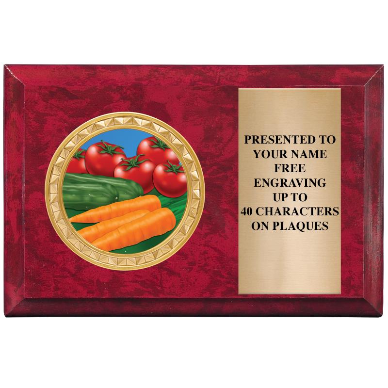 6" X 4" RED MBL INSERT PLQ