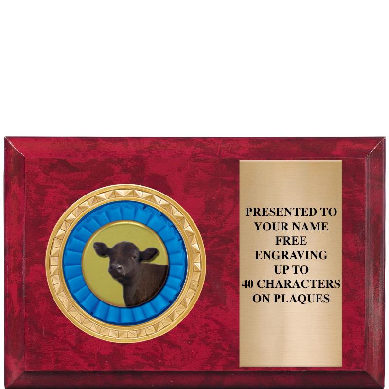 6" X 4" RED MBL INSERT PLQ