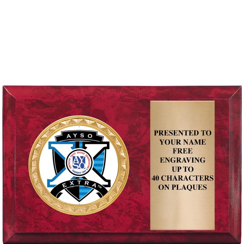 6" X 4" RED MBL INSERT PLQ