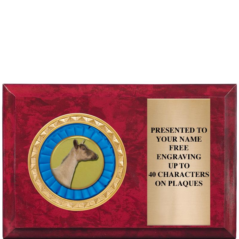 6" X 4" RED MBL INSERT PLQ