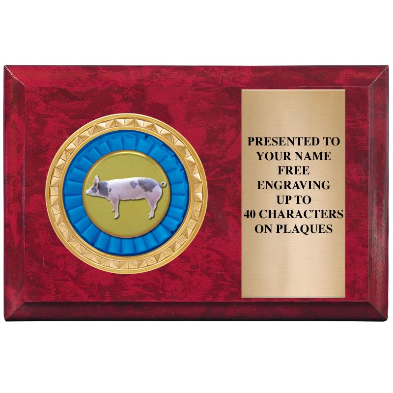 6" X 4" RED MBL INSERT PLQ