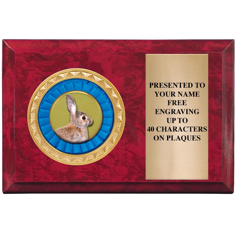 6" X 4" RED MBL INSERT PLQ