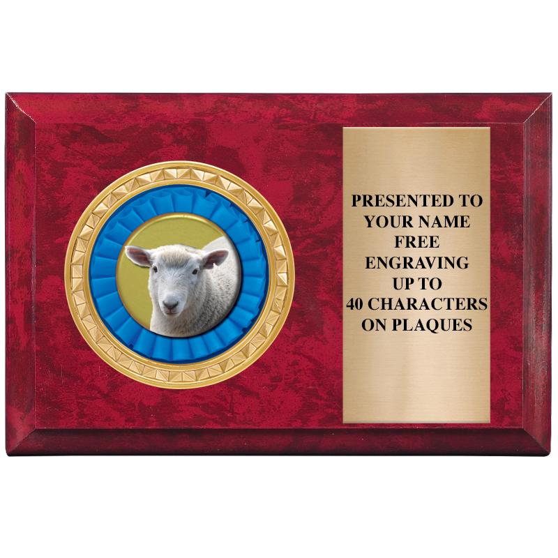 6" X 4" RED MBL INSERT PLQ