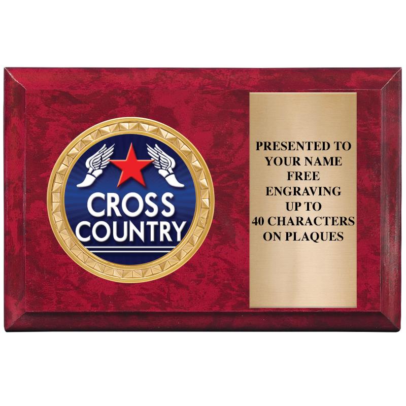 6" X 4" RED MBL INSERT PLQ