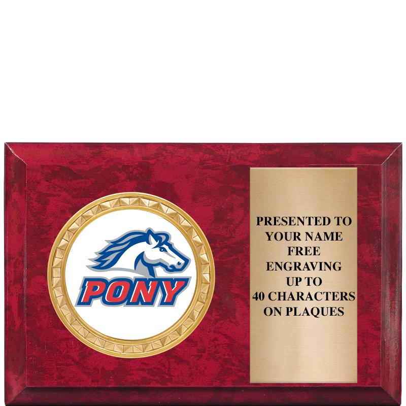 6" X 4" RED MBL INSERT PLQ