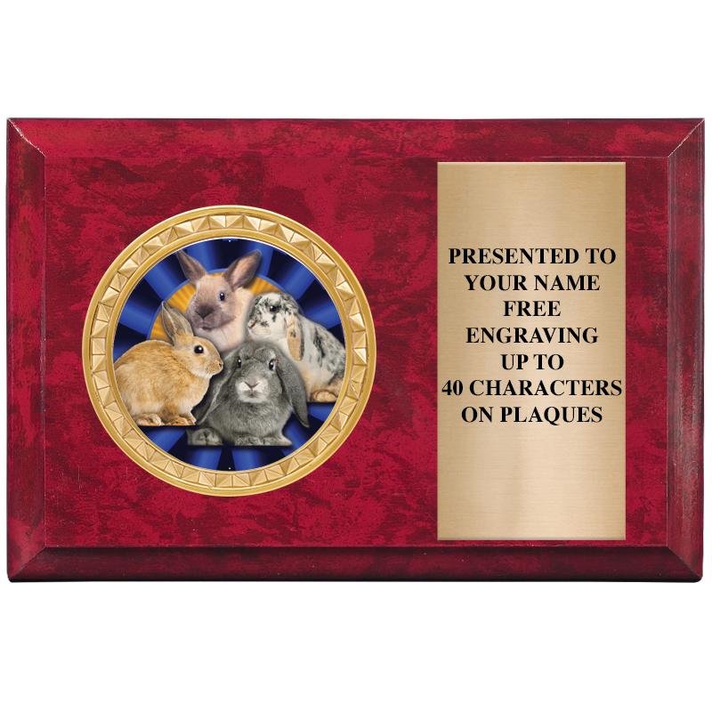 6" X 4" RED MBL INSERT PLQ