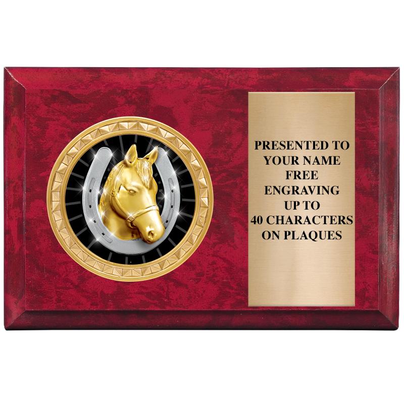 6" X 4" RED MBL INSERT PLQ