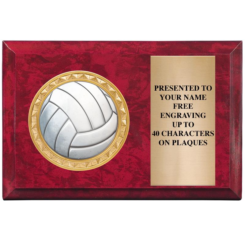 6" X 4" RED MBL INSERT PLQ