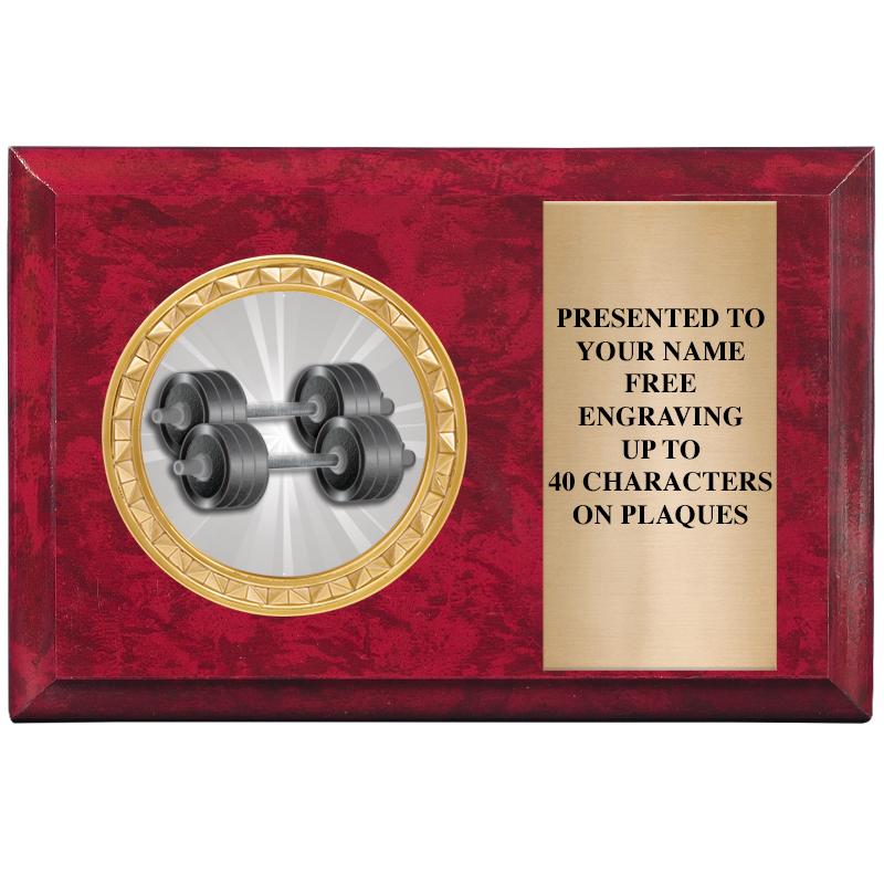 6" X 4" RED MBL INSERT PLQ