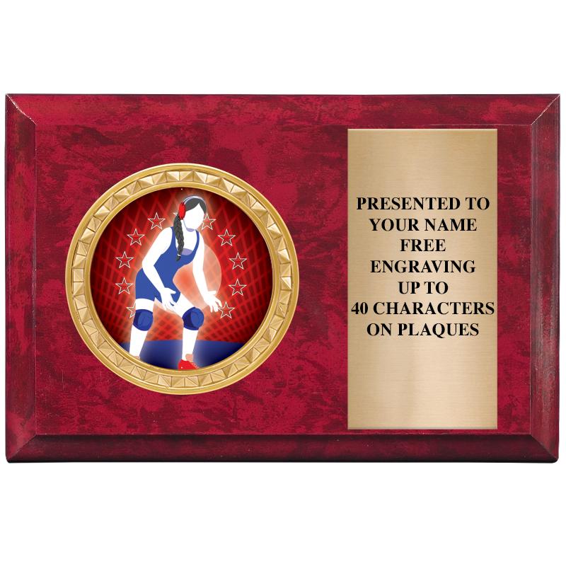 6" X 4" RED MBL INSERT PLQ