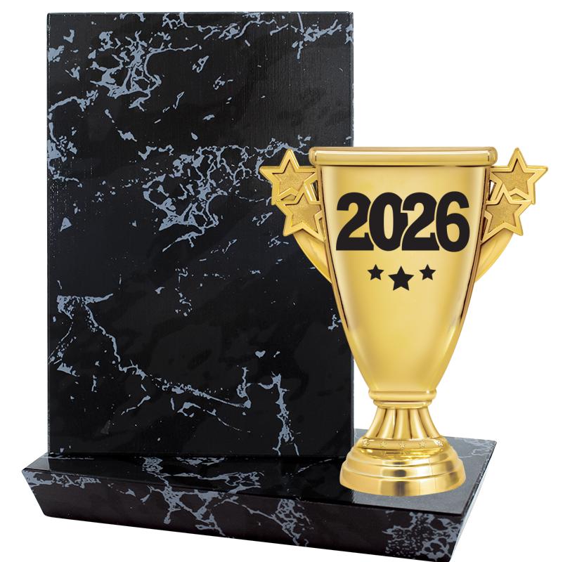 6"X6" STADIUM PLAQUE