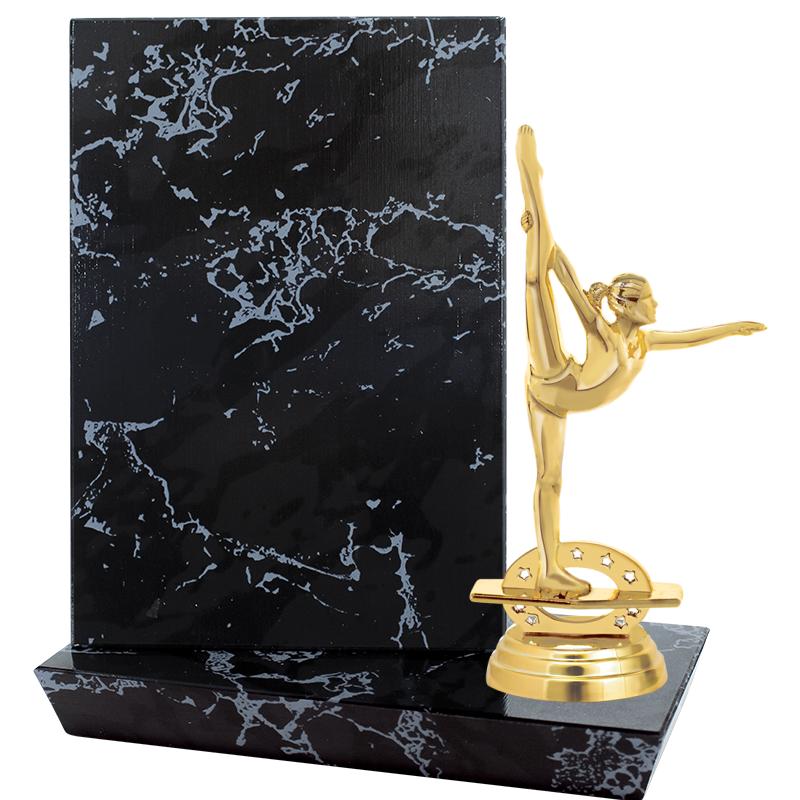 6"X6" STADIUM PLAQUE