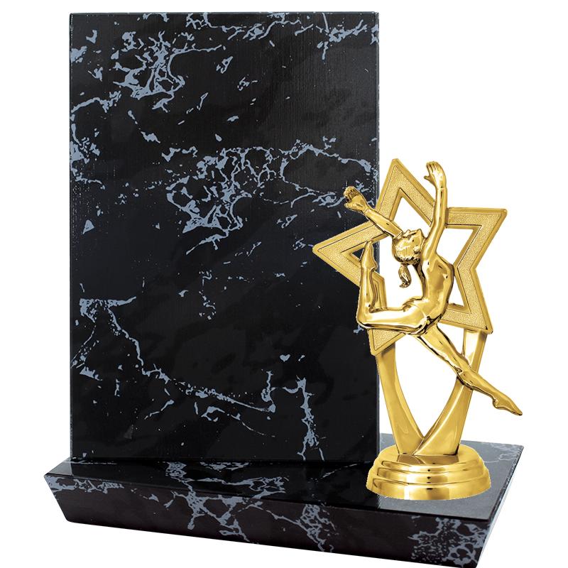 6"X6" STADIUM PLAQUE