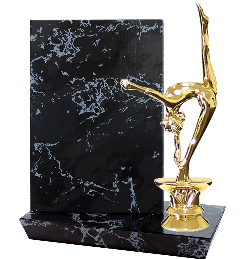 6"X6" STADIUM PLAQUE