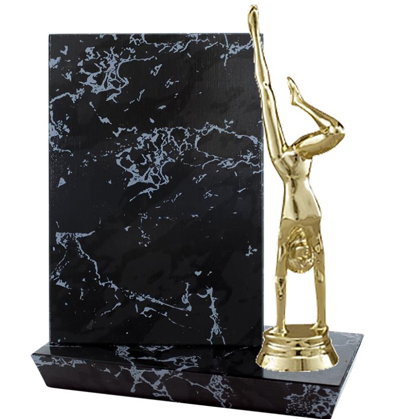 6"X6" STADIUM PLAQUE