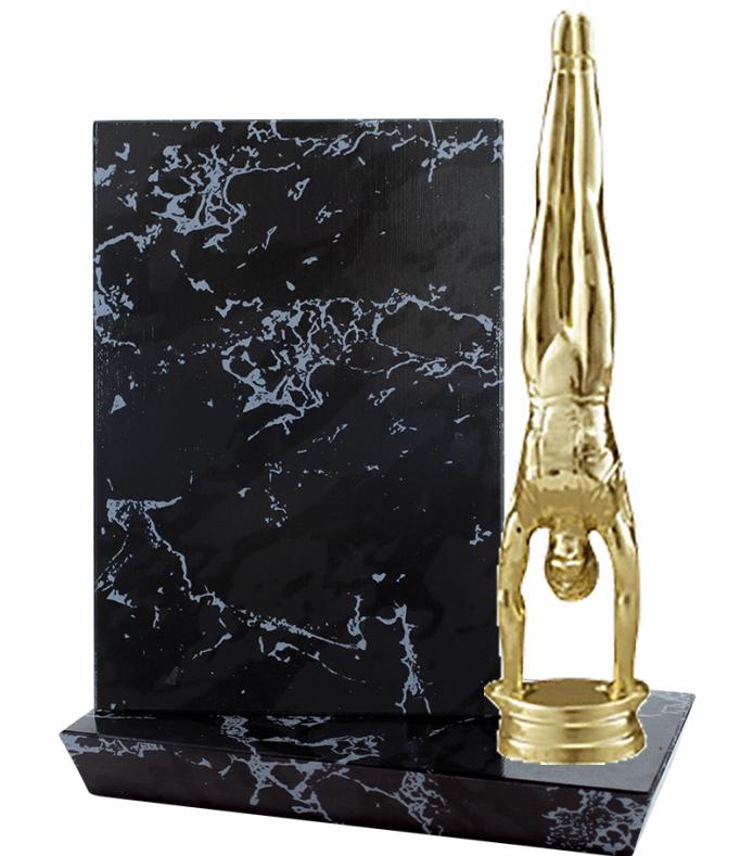 6"X6" STADIUM PLAQUE