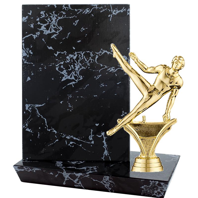 6"X6" STADIUM PLAQUE