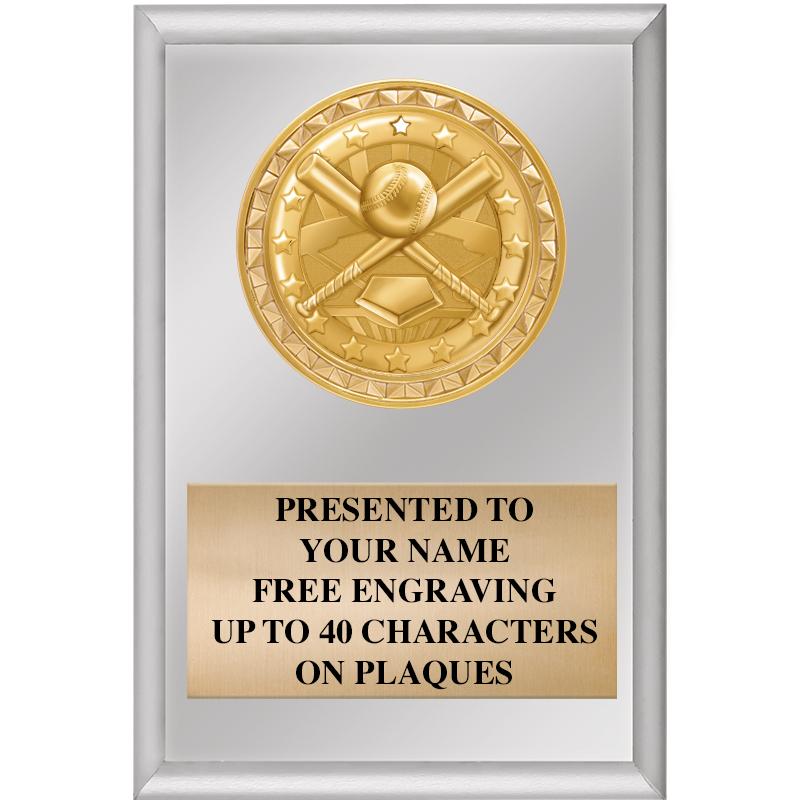 4" X 6" SILVER INSERT PLAQUE