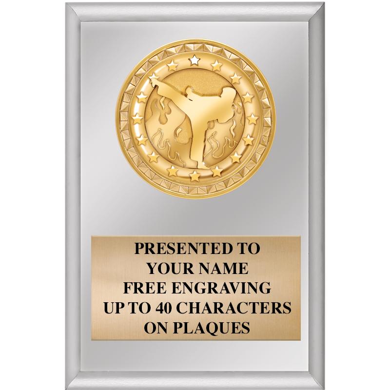 4" X 6" SILVER INSERT PLAQUE