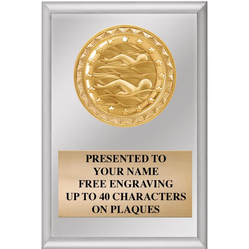 4" X 6" SILVER INSERT PLAQUE