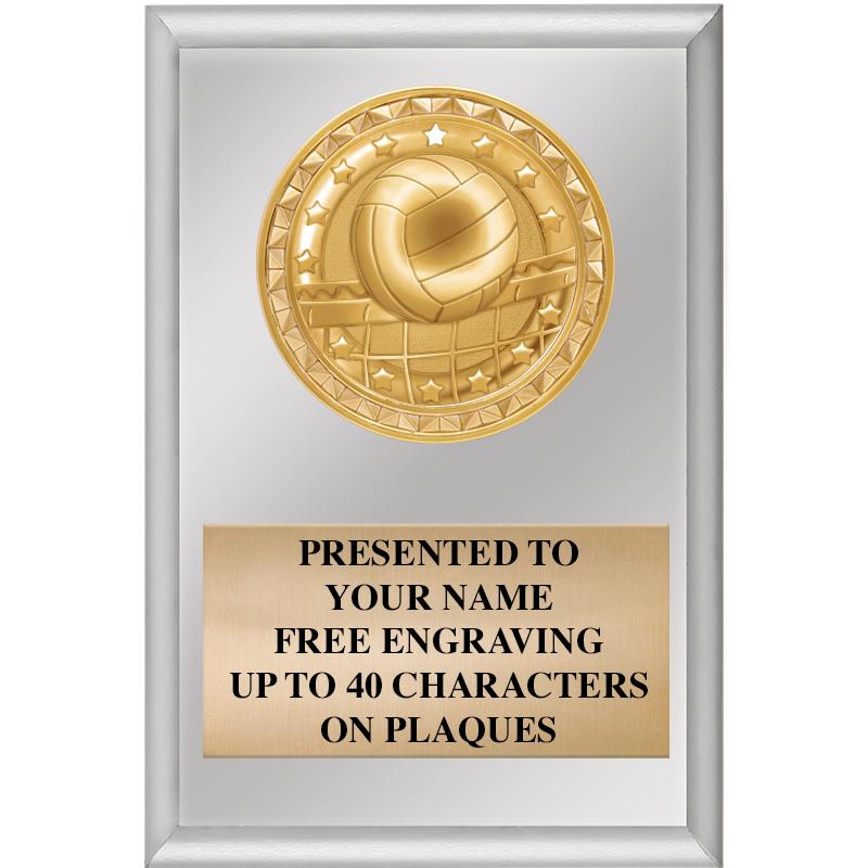 4" X 6" SILVER INSERT PLAQUE