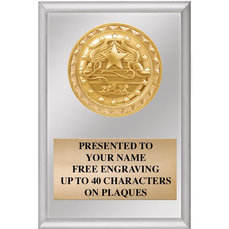 4" X 6" SILVER INSERT PLAQUE