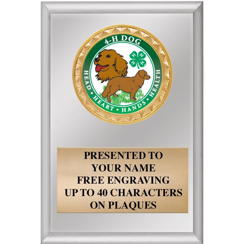 4" X 6" SILVER INSERT PLAQUE