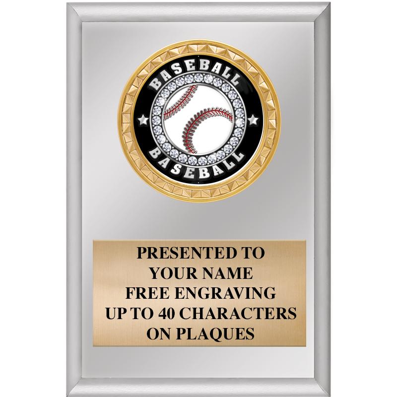 4" X 6" SILVER INSERT PLAQUE