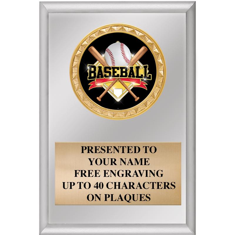 4" X 6" SILVER INSERT PLAQUE