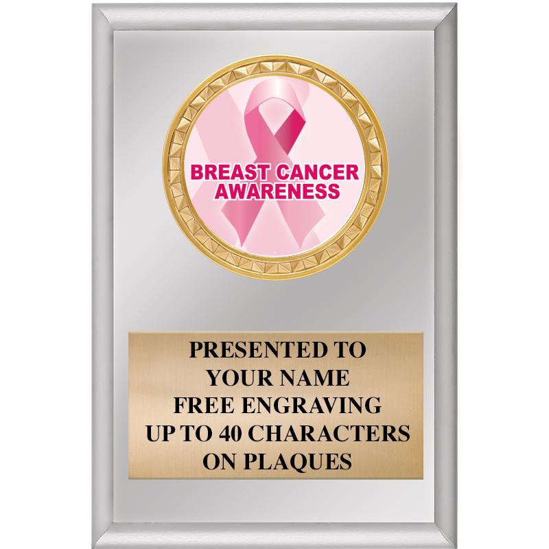 4" X 6" SILVER INSERT PLAQUE