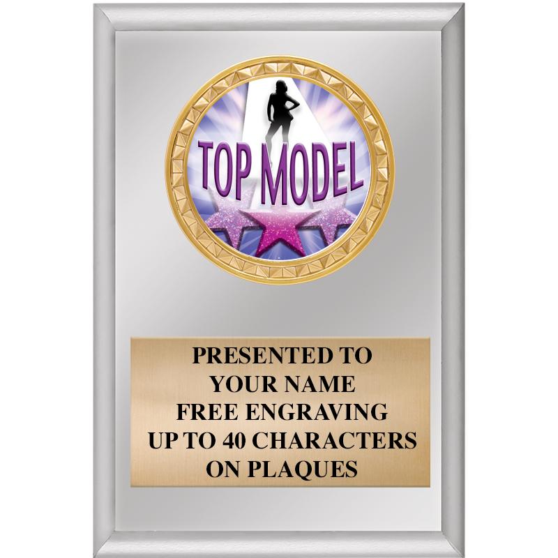 4" X 6" SILVER INSERT PLAQUE