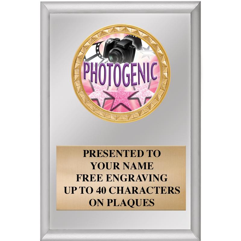 4" X 6" SILVER INSERT PLAQUE