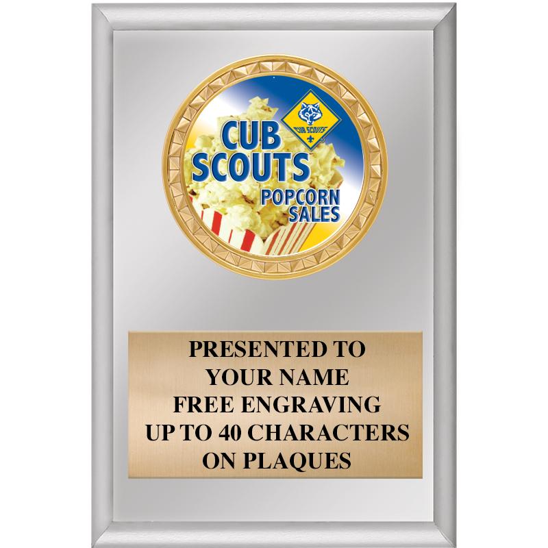 4" X 6" SILVER INSERT PLAQUE