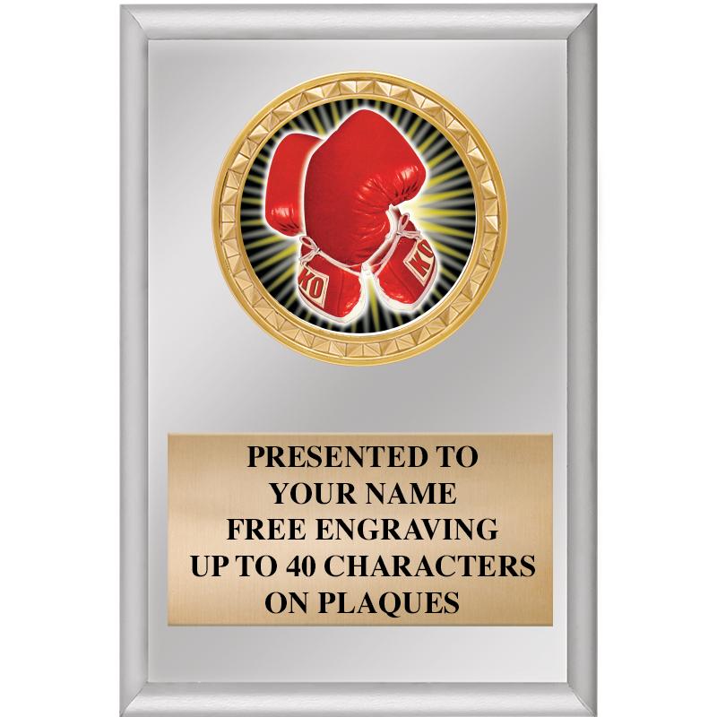 4" X 6" SILVER INSERT PLAQUE