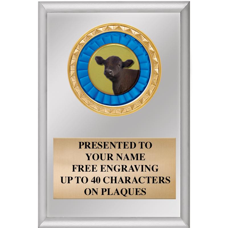 4" X 6" SILVER INSERT PLAQUE