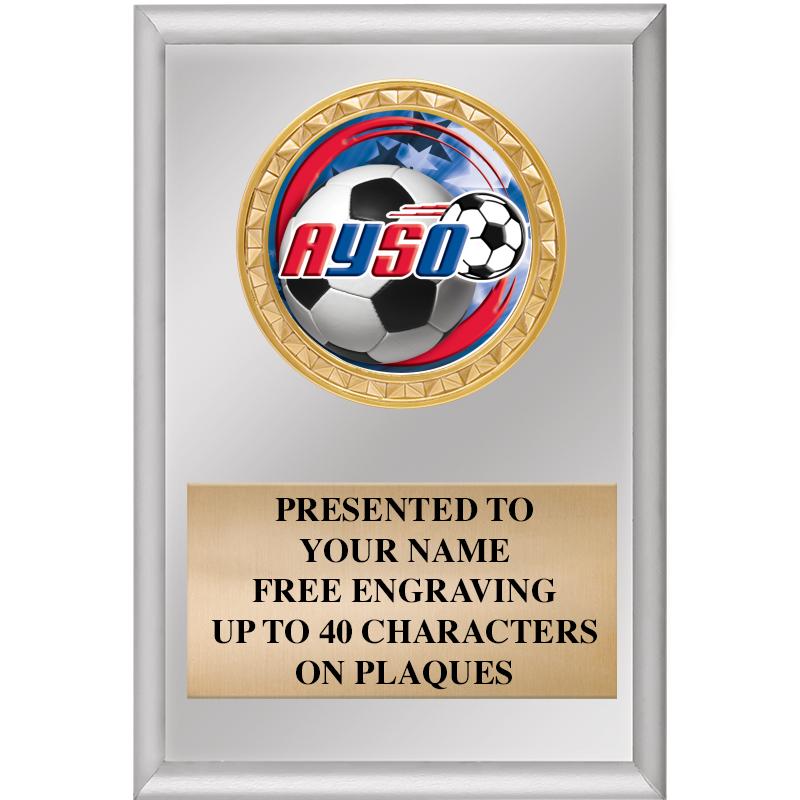 4" X 6" SILVER INSERT PLAQUE