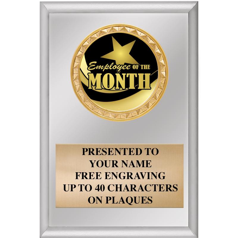 4" X 6" SILVER INSERT PLAQUE