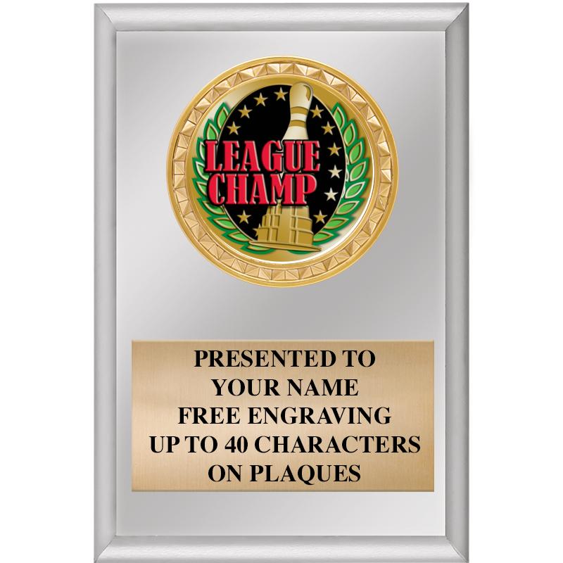 4" X 6" SILVER INSERT PLAQUE