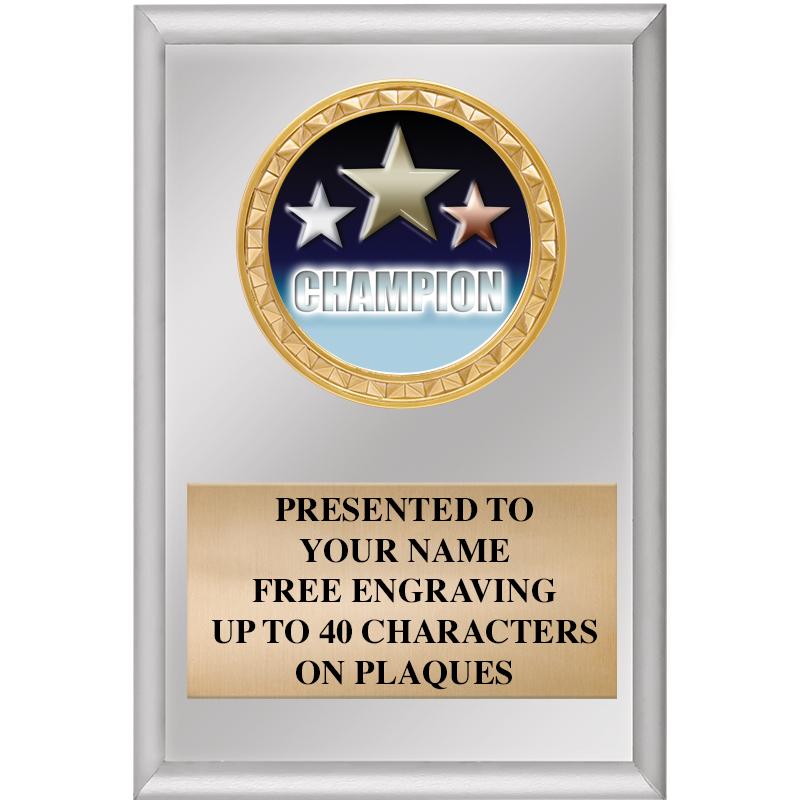 4" X 6" SILVER INSERT PLAQUE