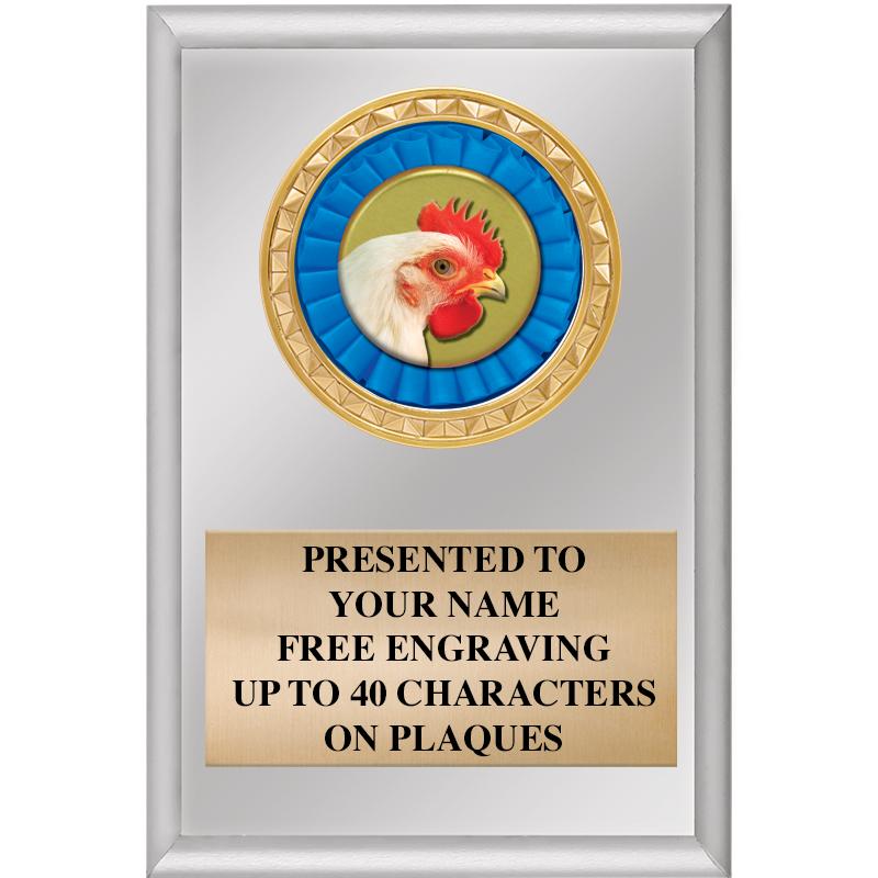 4" X 6" SILVER INSERT PLAQUE