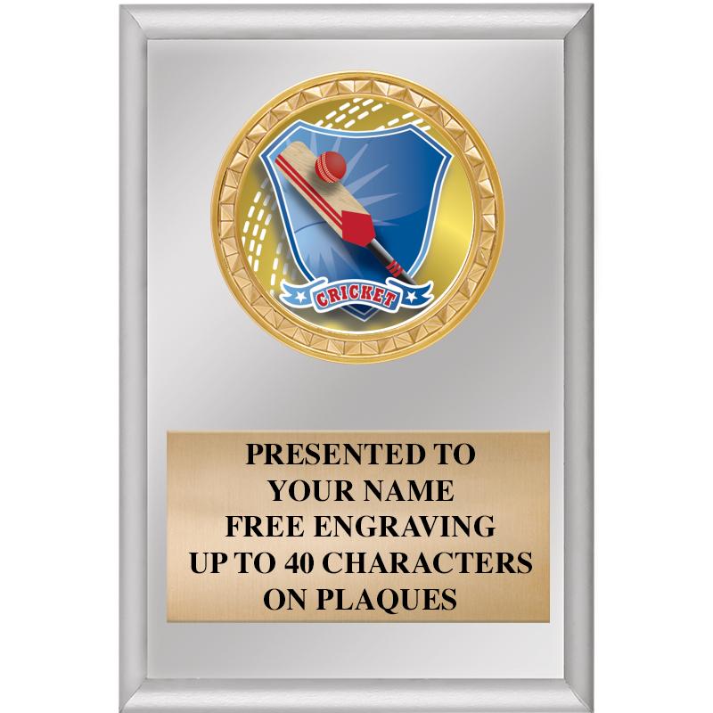 4" X 6" SILVER INSERT PLAQUE