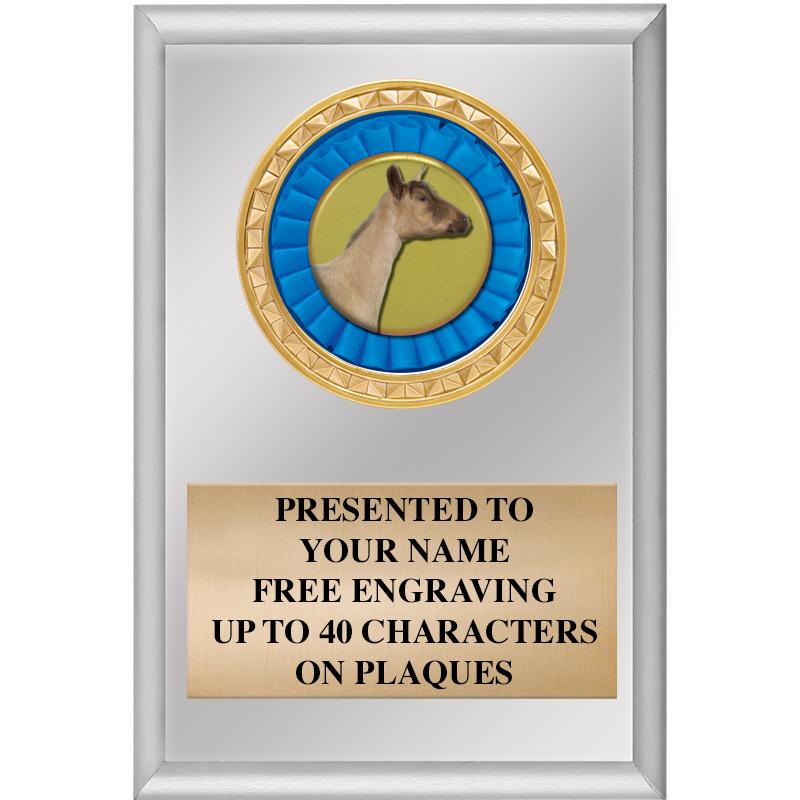 4" X 6" SILVER INSERT PLAQUE