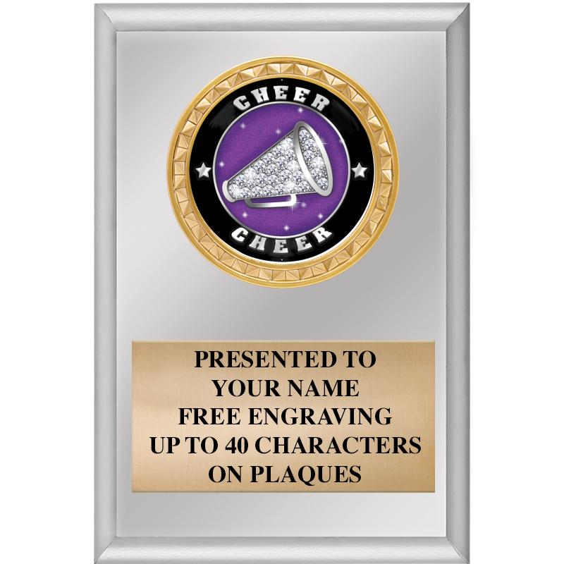 4" X 6" SILVER INSERT PLAQUE