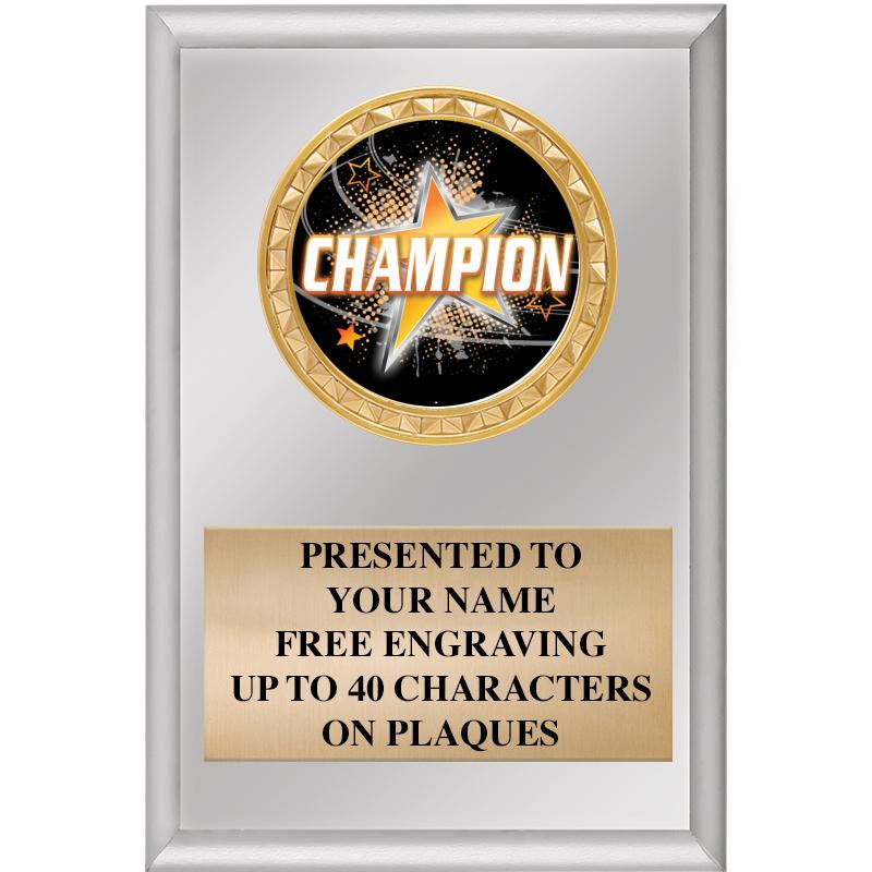 4" X 6" SILVER INSERT PLAQUE