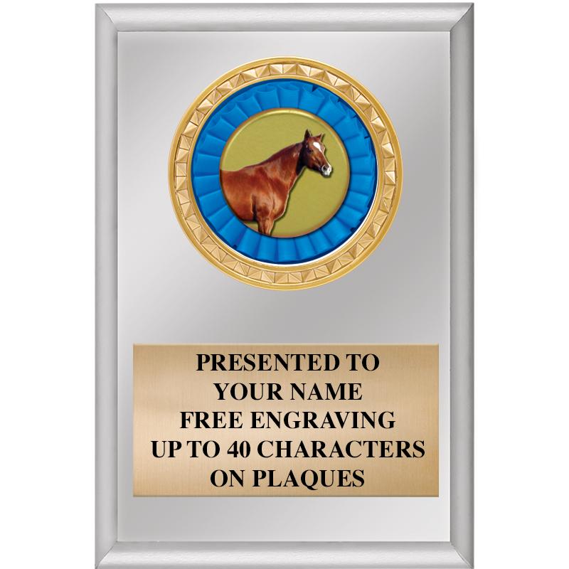 4" X 6" SILVER INSERT PLAQUE