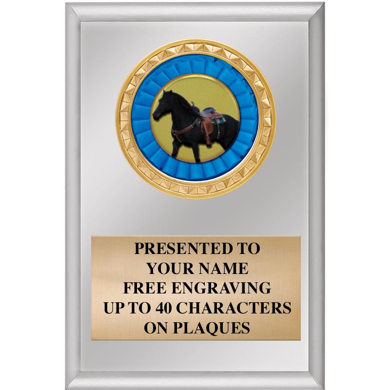 4" X 6" SILVER INSERT PLAQUE