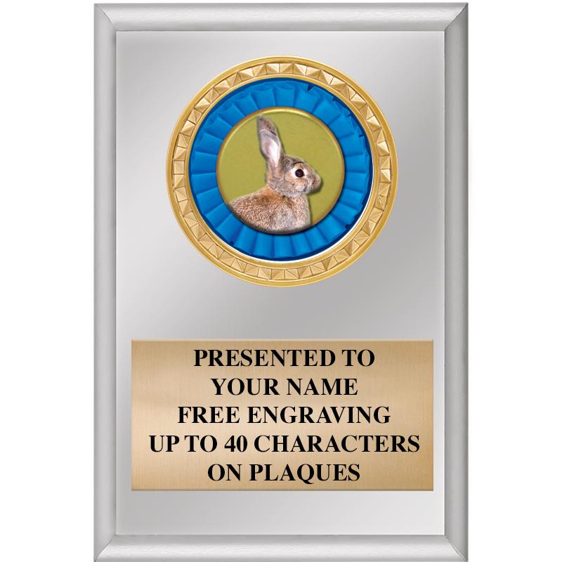 4" X 6" SILVER INSERT PLAQUE