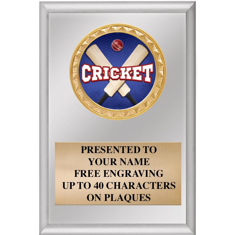 4" X 6" SILVER INSERT PLAQUE