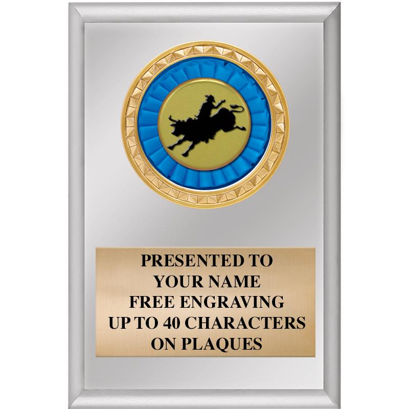 4" X 6" SILVER INSERT PLAQUE